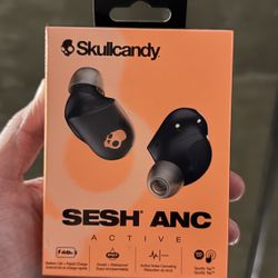 Skullcandy Headphones 