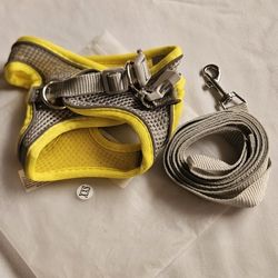 Dog Harness And Leash 