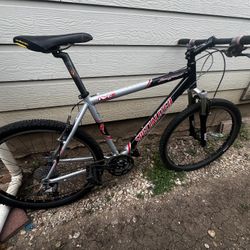 Specialized Stumpjumper Pro M4 19”