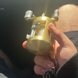 Shimano calcutta 400