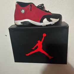 Jordan 14s