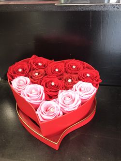 Long lasting preserved roses