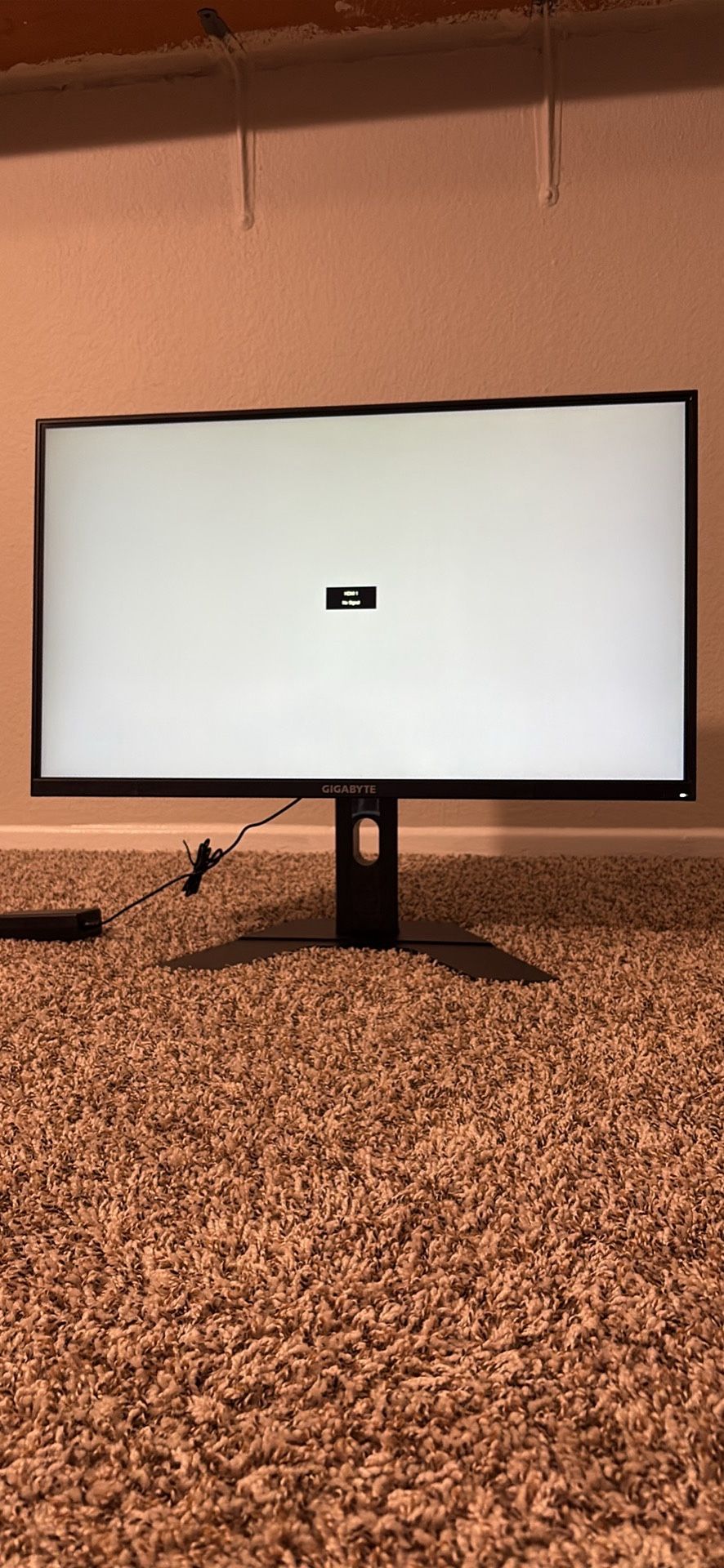 Computer Monitor