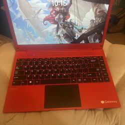 Gateway 14.1 Ultra Slim Notebook