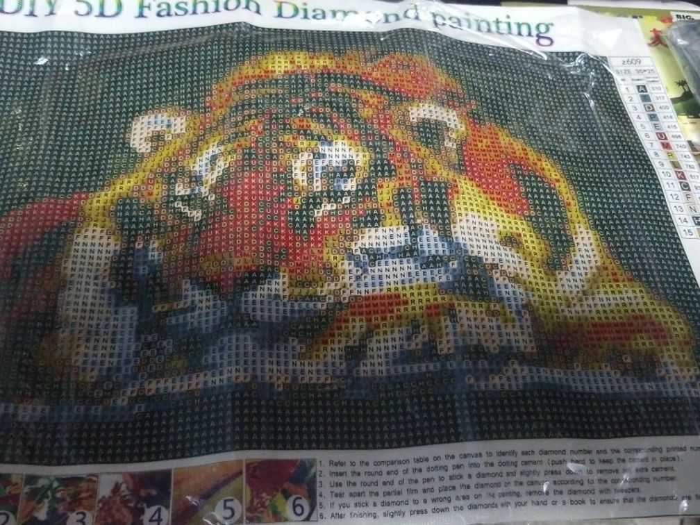 5D Fashiin Diamond Painting Kit With All The Supplies Mew 8x10 Beautitul Tiger Pic