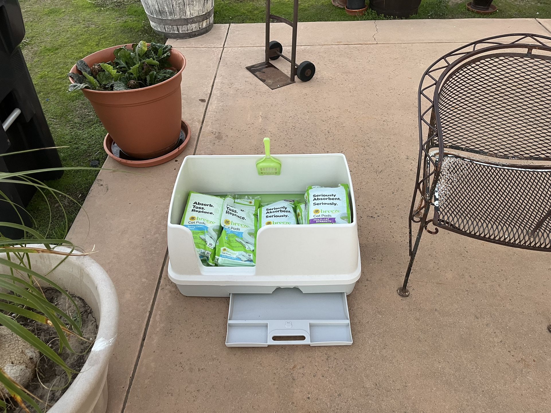 Cat Care Items