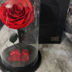 Dream of flowers