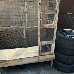 Cocatail Parrot Love Bird Cage
