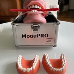 Acadental ModuPro DH 520 Typodont