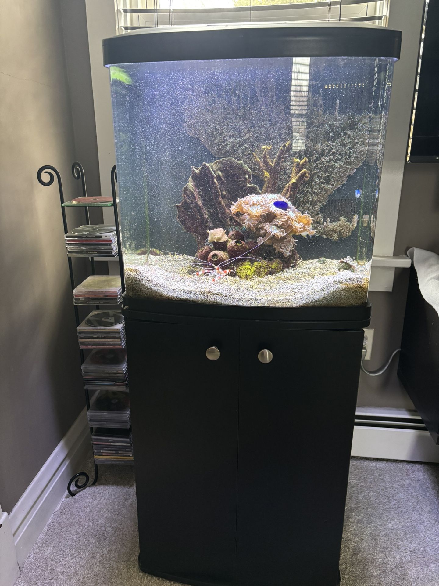Fish Tank W/Stand