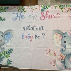 Gender reveal back drop