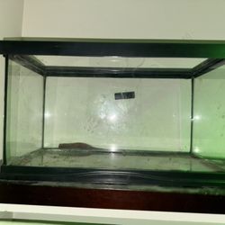 Barely Used Fish/Reptile Tank