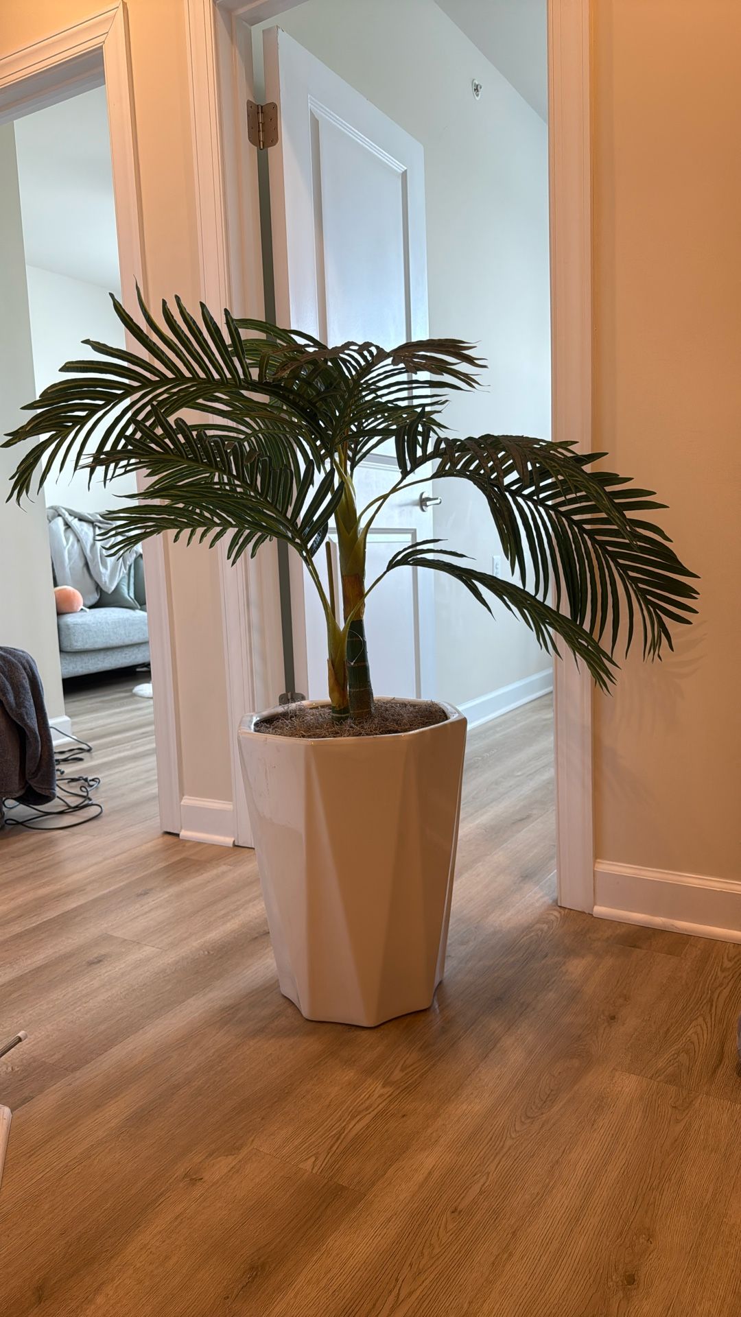 Fake House Plant