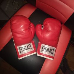 Everlast 16 Oz Pro Style Elite Cardio Kickboxing and Boxing Training Gloves, Red