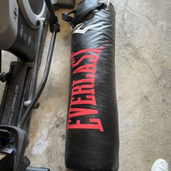 Everlast Boxing / Punching Bag