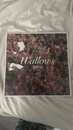 Spring - Wallows (vinyl)