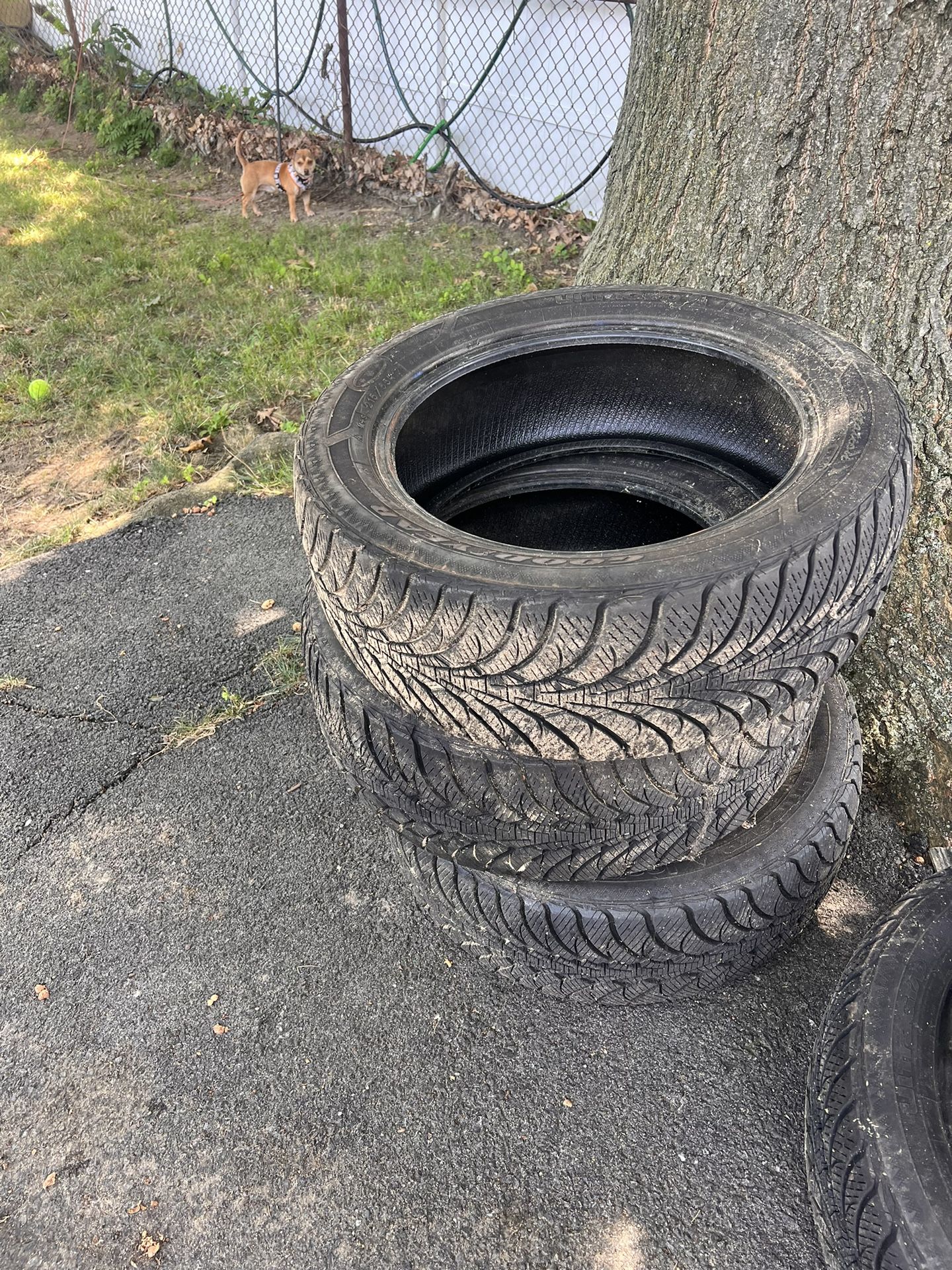 Brand New Winter Tires