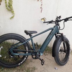 E bike