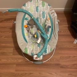 Baby Bouncer 