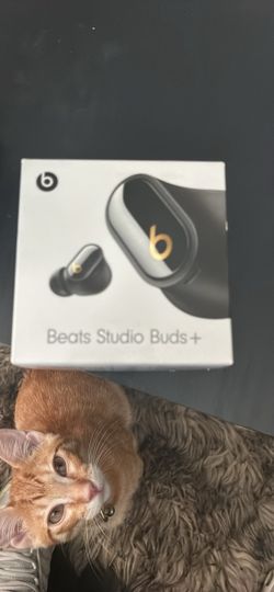 Brand New Beats Studio Buds+