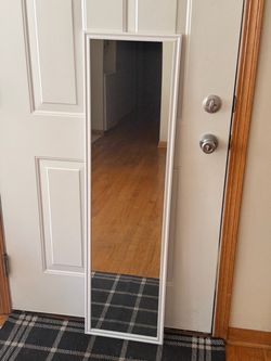 Door mirror
