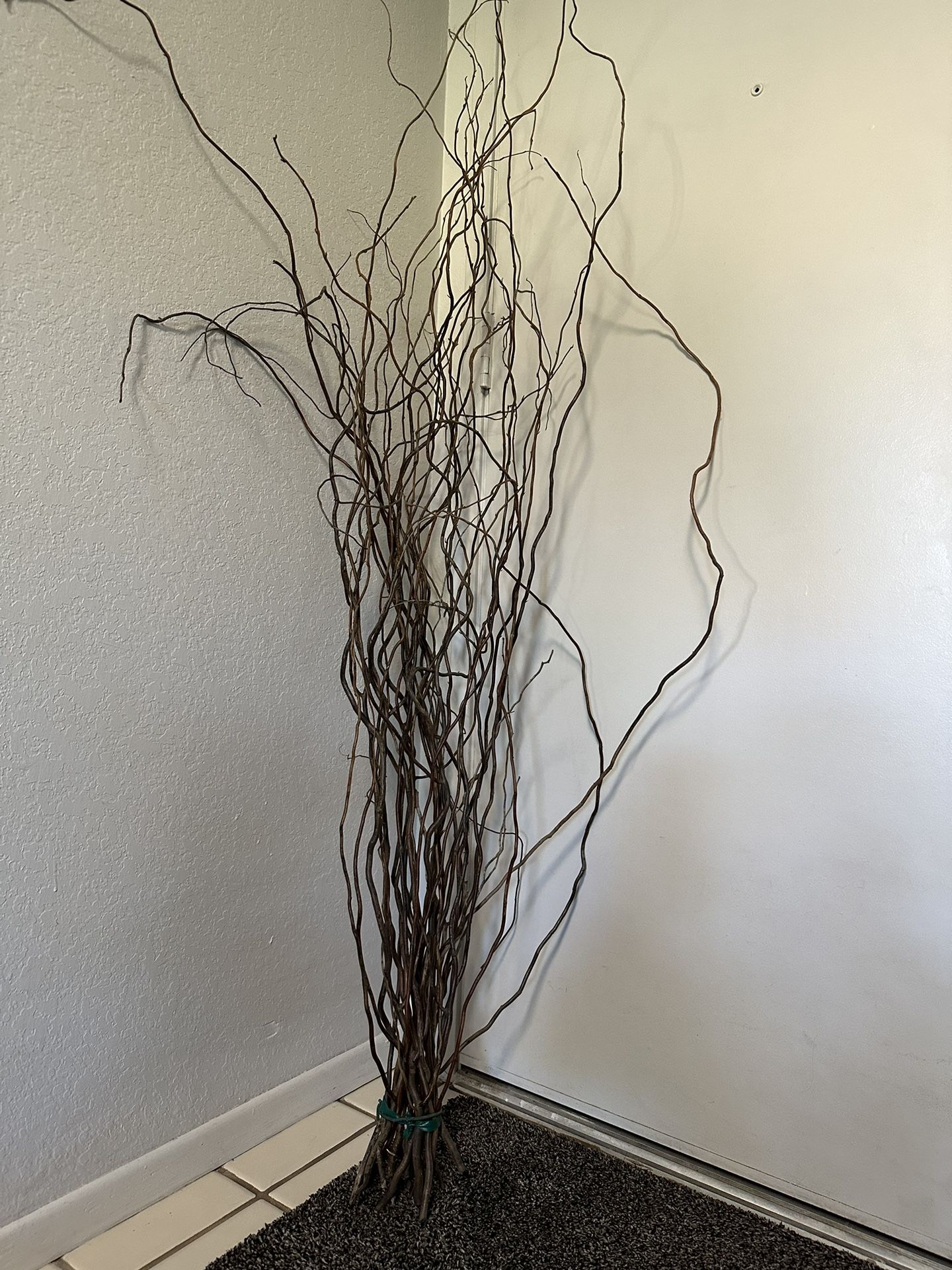 Dried Willow Branches (for decor)