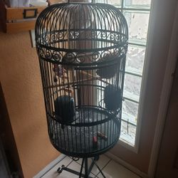 Parrot Bird Cage