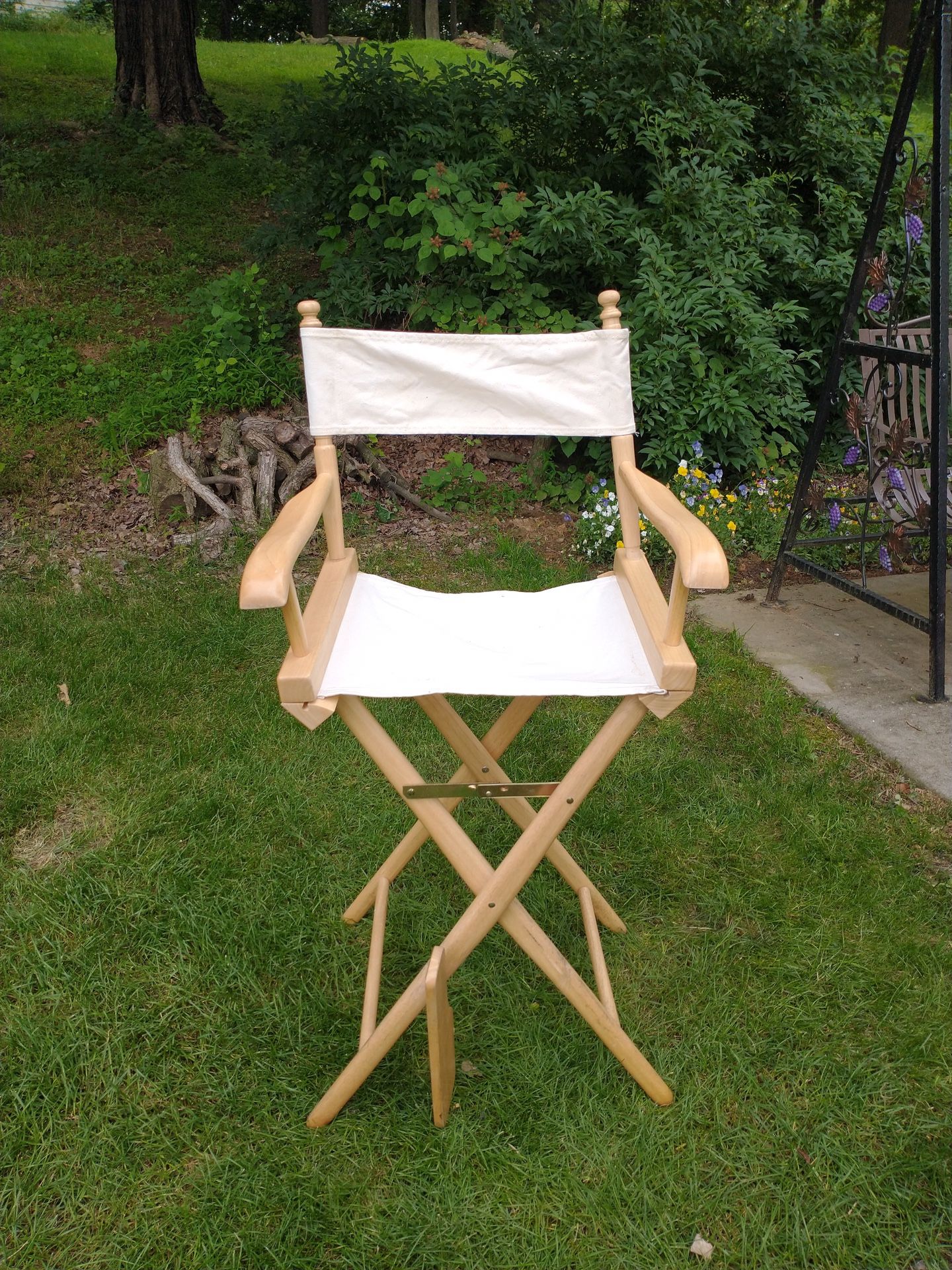 Folding Director Chair