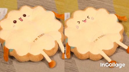 I'm Toast Seat cushion set