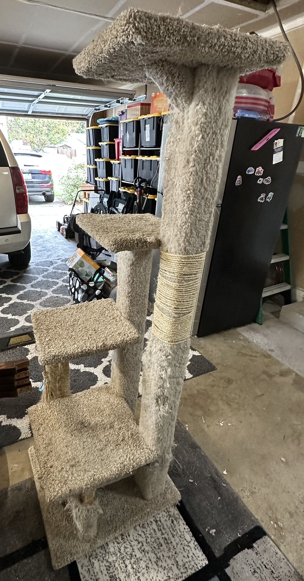 Cat Hotel Free