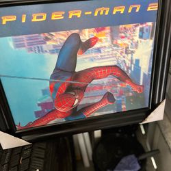 Spider-Man picture