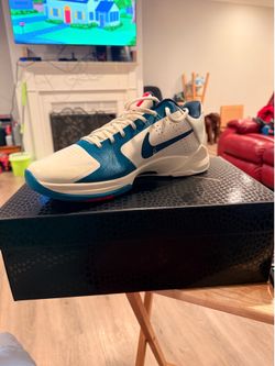 Kobe 5 Size 13