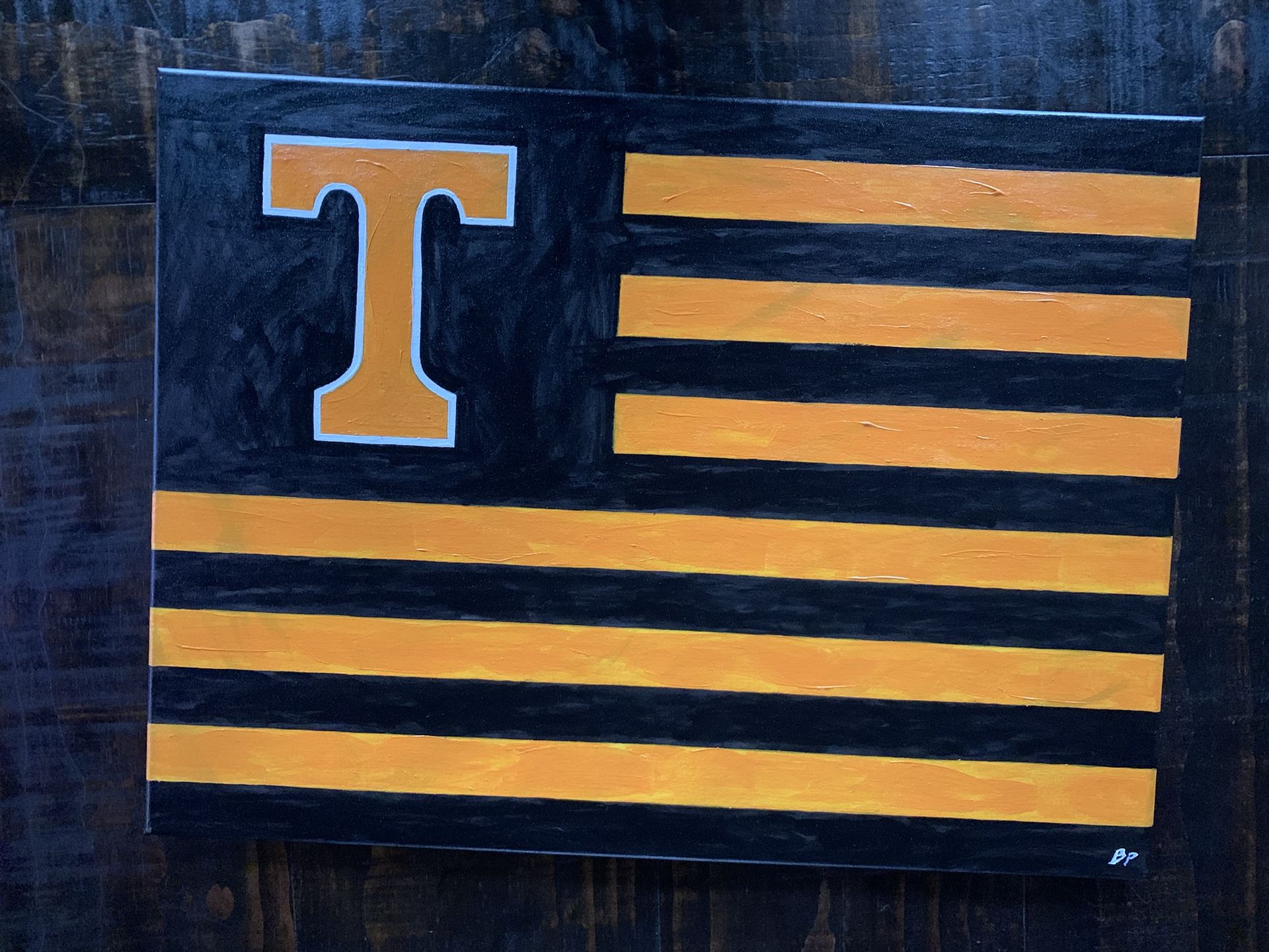 TN Vols Painting