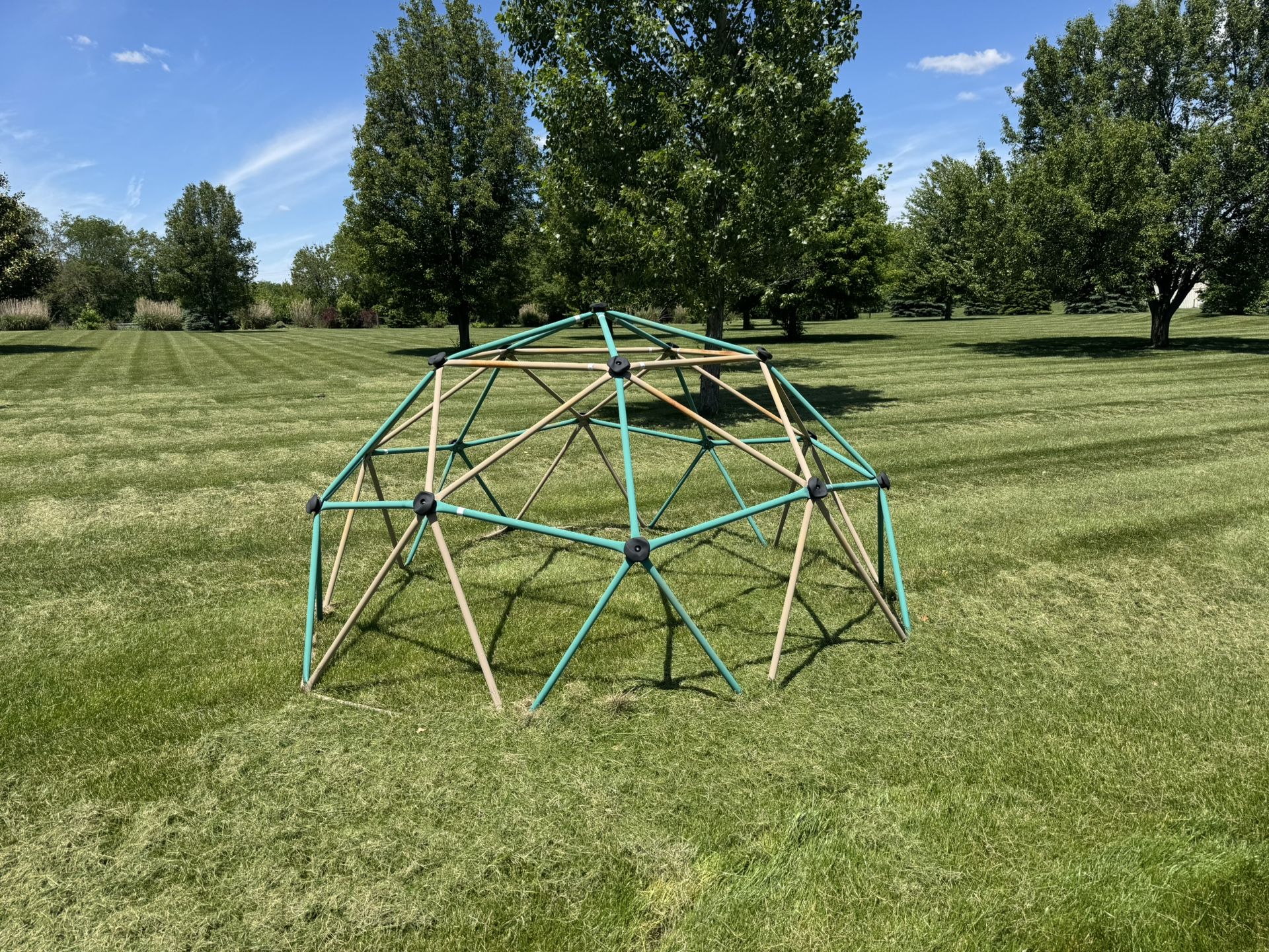 Jungle Gym