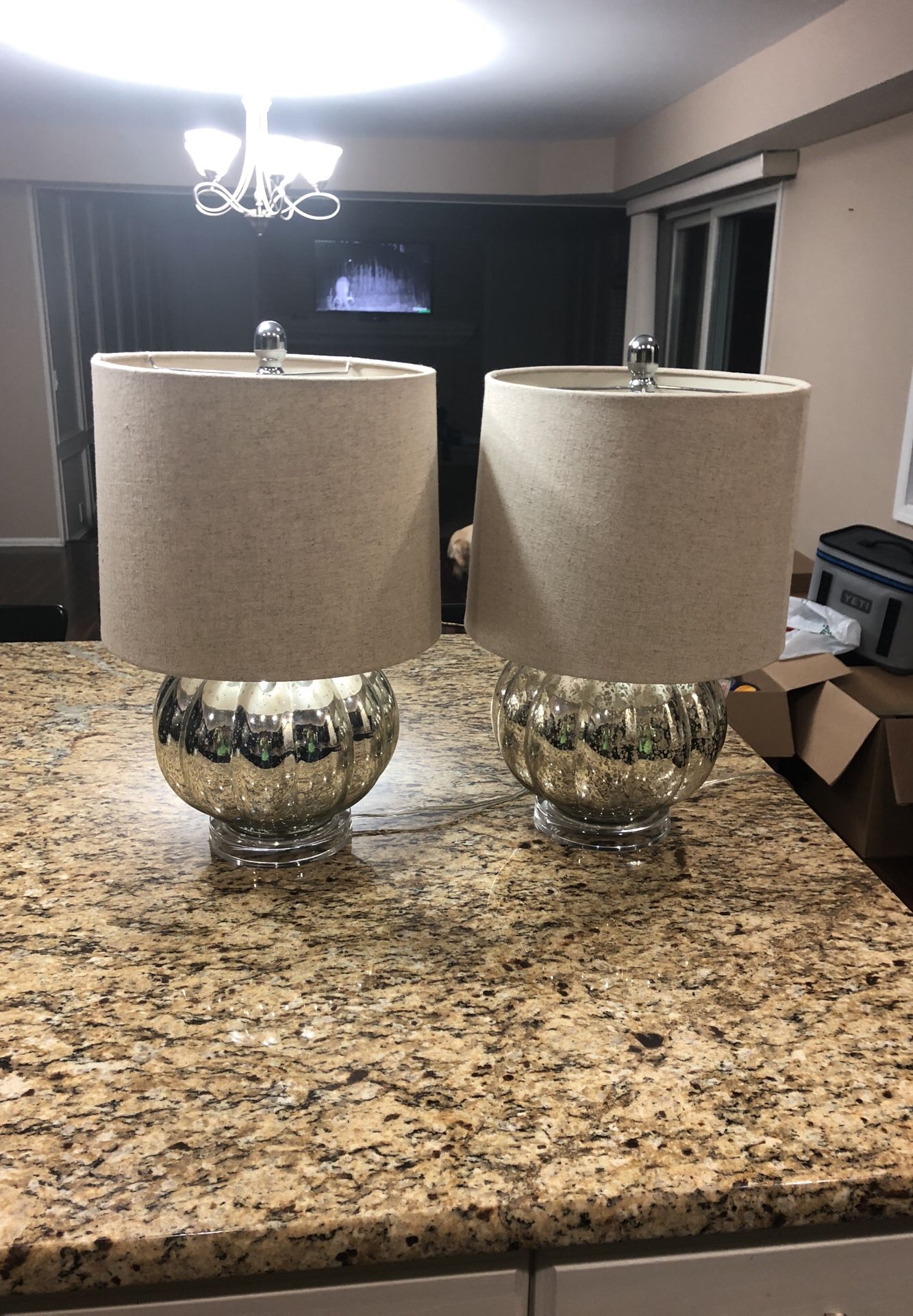 Set of 2 mercury Lamps