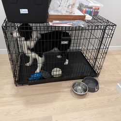 Dog Kennal Large Kong