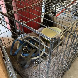 Puppy Starter Crate Plus More