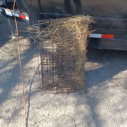 Dog Cage 