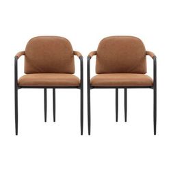 Modern Dining Chairs (2)