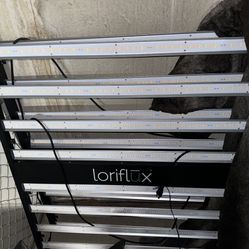 Loriflux BIG LED Light Grow 