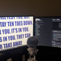 Gaming Monitors 