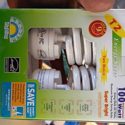 White Bright Lightbulbs 