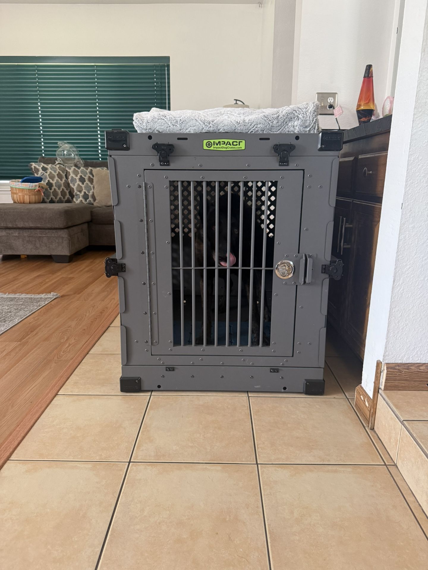 Impact Crate Xl