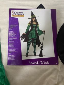 Women’s Green Witch Costume