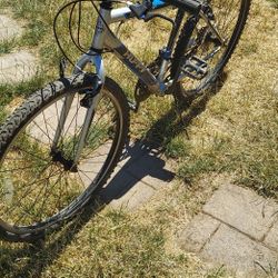 FREE  BIKE.  FREE BIKE