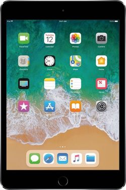 iPad Mini 3rd Edition Cellular + WiFi