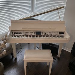 Baby Grand Piano Electric $800