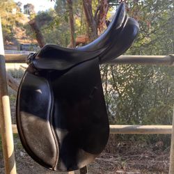 17.5” Dressage Saddle Courbette 