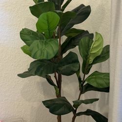 Pottery Barn faux fiddle fig leaf tree