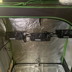 Grow Tent 2x4 Full Set-Up